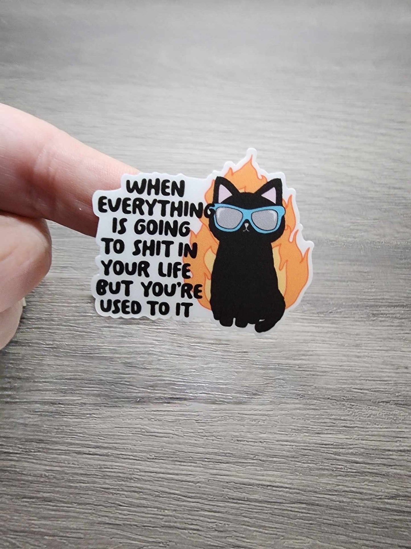 When Everything is Going to Sh*t | Vinyl Sticker